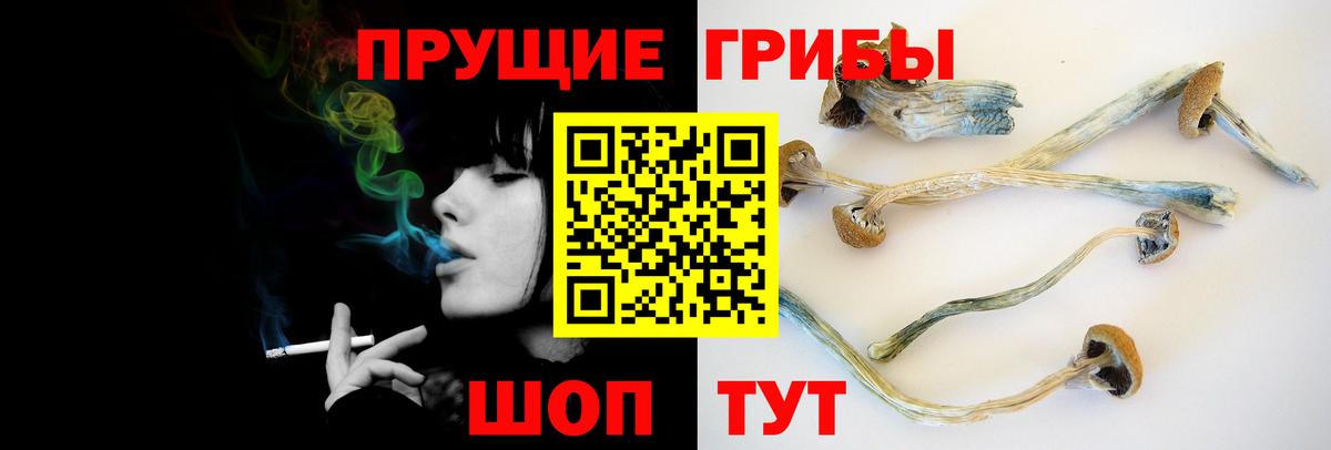 Псилоцибиновые грибы Psilocybe  где можно купить   Галлюциногенные грибы Psilocybine cubensis  Димитровград  Вход с VPN 